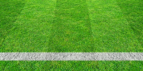 Soccer line in green grass of soccer field. Green lawn field pattern for sport background.