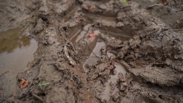 Mud tracks in a farmland.
