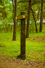 Kierunek: słońce © Studio Migafka