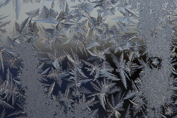 winter drawing on glass