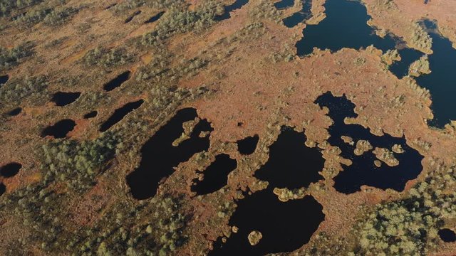 Aerial view of bog with many water ponds and pools in Pilka bog, Latvia