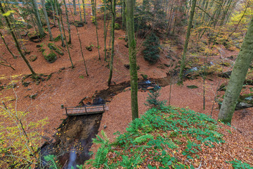 Herbststimmung in der Karlstalschlucht