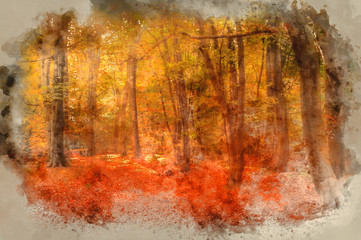 Watercolour painting of Vibrant Autumn Fall forest landscape image
