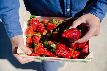 Person holding bag with healthy nutritious strawberries on groceries shopping market background,...