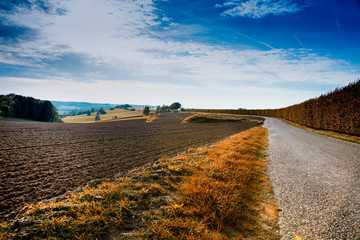 road along the meadows and hills in Limburg, The Netherlands. Brown autumn colors and blue cloudy sky