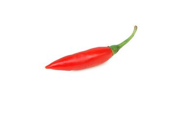Capsicum frutescens L. Chilli Pepper.Chili has anti-oxidants, helps slow down aging.With Clipping Path