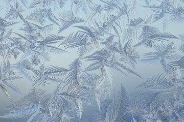 winter drawing on glass