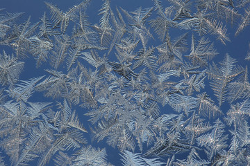 winter drawing on glass