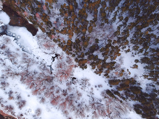 The forest and the frozen river with thawed patches appeared in the spring, when there is still...