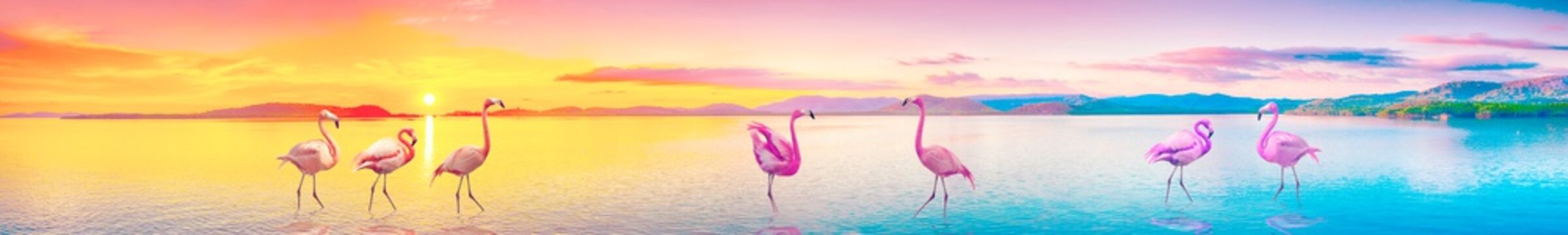 flamingi 