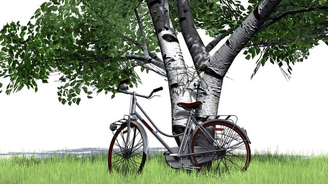 bicycle is standing beside tree in green grass - separated on white background