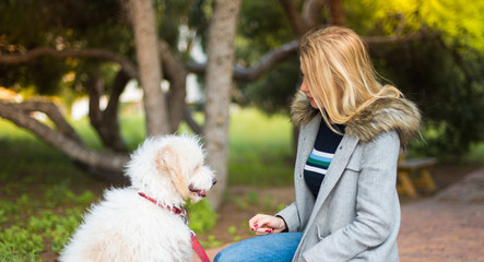 Young girl with her dog in a park