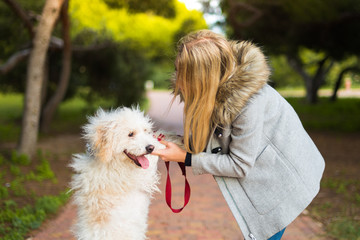 Young girl with her dog in a park
