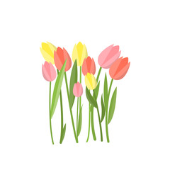 Yellow and pink tulips growing in flowerbed on empty background