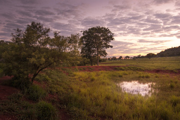 Cerrado, Brazil