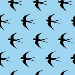 Swallow, swift, birds. Graphic vector pattern. Decorative seamless background