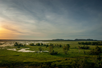 Swamp, Northern Territory, Australia