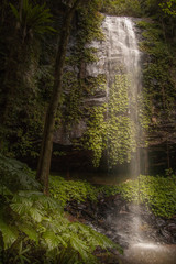 Waterfall, New South Wales, Australia
