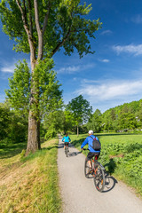 Naklejka premium Fahrradfahrer auf Parkweg im Frühling
