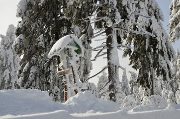 Winter nature  in Klinovec Karlovy Vary region 