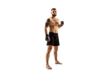 MMA. Professional fighter isolated on white studio background. Sport, competition, excitement and...