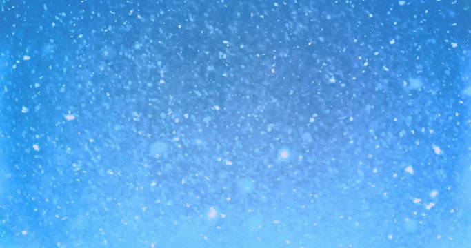 Snow - real snowstorm with a frosty look