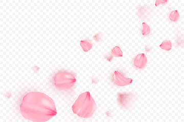 Pink sakura falling petals vector background. 3D romantic illustration. Transporent banner with sakura. Love card