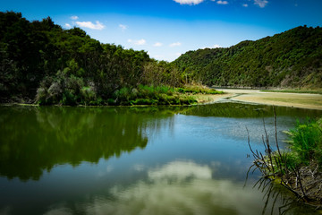 Mountain views, streams and lakes and plants of New Zealand