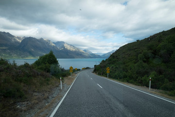 Mountain views, streams and lakes and plants of New Zealand