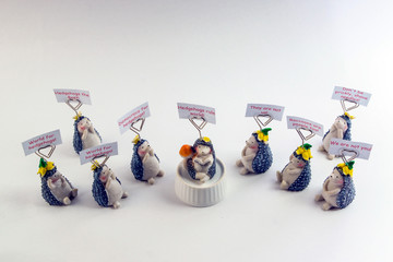 hedgehog demonstration liberals and conservatives tolerance against radicalism