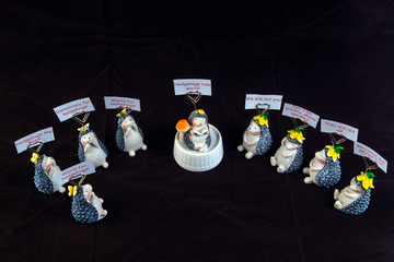 hedgehog demonstration liberals and conservatives tolerance against radicalism