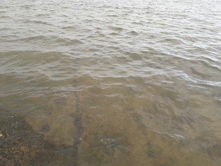 waves on the beach
