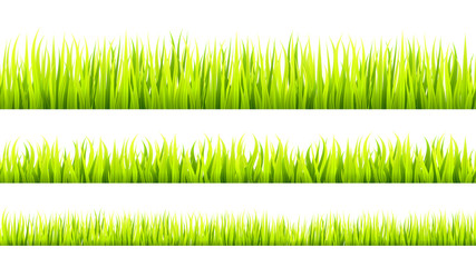 Grass banner. Cereal sprouts. Springtime growth greenery. Green turf overlay stripes.