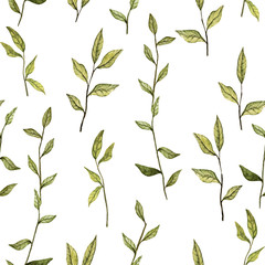 watercolor botanical seamless pattern
