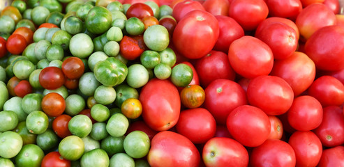 Red and green tomato texture background