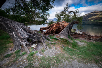 Mountain views, streams and lakes and plants of New Zealand