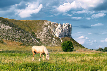 mountain cliff horse