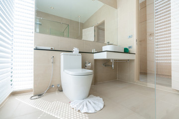 Fototapeta na wymiar Luxury beautiful interior real bathroom features basin, toilet bowl in the house or home building