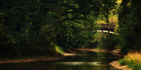 beautiful old bridge across the river in the woods. Landscape with old wooden bridge crossing a small river. view of a beautiful river in the park