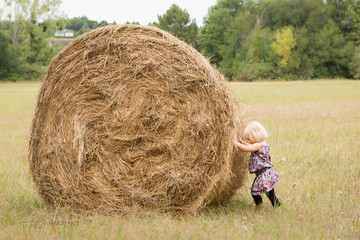 Naklejka na ściany i meble little girl pushes hay bale