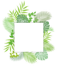 Tropical plant leaves frame material