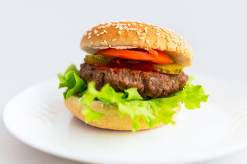Homemade hamburger on the plate
