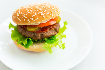 Homemade hamburger on the plate