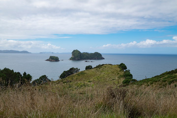 Mountain views, streams and lakes and plants of New Zealand