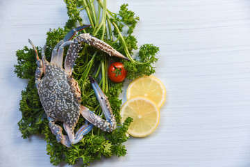 Fresh raw blue swimming crab seafood on curly parsley and lemon on white table background