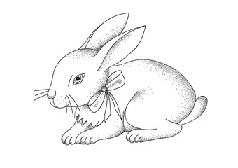 Hand-drawn portrait of rabbit. Easter bunny. Vector illustration