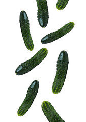Closeup of fresh ripe green cucumber falling down on white background