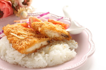 Japanese fried fish on rice served with salad