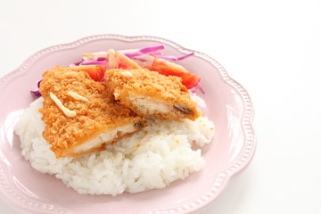 Japanese fried fish on rice served with salad