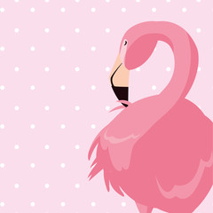 elegant flamingo bird dotted background